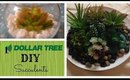 DIY  Succulents| Dollar Tree Crafts | Home Decor