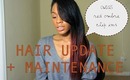 ☆ Hair Update + Maintenance feat. OWIGS Red Ombre Clip-ins