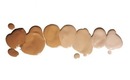 Foundation and Concealers