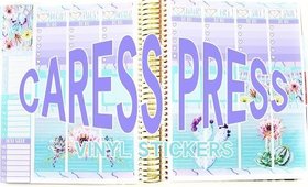 Caress Press Plan with Me \\ Erin Condren Vertical