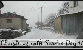 Final Days | Christmas with Sandra Day 11