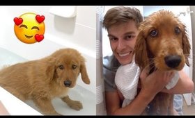First Bath for Wally - Cutest Puppy Golden Retriever