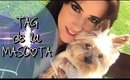 ◘ TAG: El TAG de La Mascota ◘