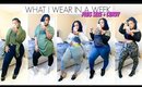 WHAT I WEAR IN A WEEK | FALL OUTFITS FOR WORK | PLUS SIZE + CURVY