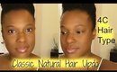 Simple & Easy Natural Hair Updo | 4C Natural Hair 2015