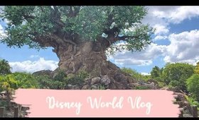 ♡ Florida Trip: Disney Animal kingdom & Hollywood Studios ♡