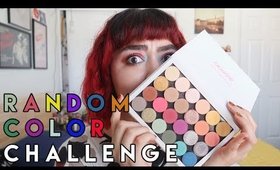 ColourPop Palette | Random Color Challenge