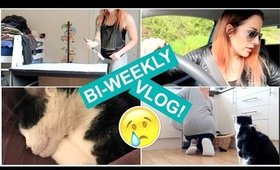 BI-WEEKLY VLOG #4| HE'S GONE! 😭💔