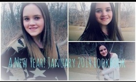 A New Year! January 2014 Lookbook