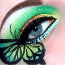 Green butterfly 