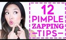 HOW TO: Get Rid of Pimples OVERNIGHT!