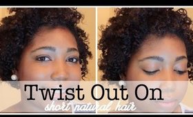 TwistOut on Short Natural Hair | Protective Style | Jessica Chanell