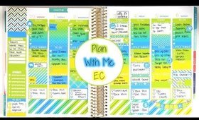 Plan With Me | Tropical Fun (Erin Condren Vertical)