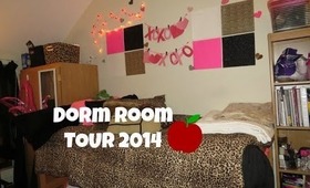 College Dorm Room Tour 2014 (+ Valentine's Day Decorations!)