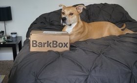 September BarkBox Unboxing