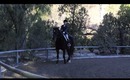 Radioactive- Holiday Horse Show