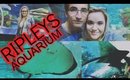 SHARKS ABOVE OUR HEADS, PETTING STINGRAYS, AND OOTD | VLOG 1
