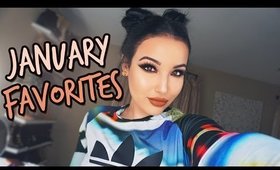 January Favorites + New Makeup Products!