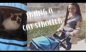 TRYING A CAT STROLLER!