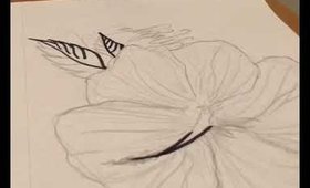 Sketch Hibiscus flower 🌺 custom-Speedart #2