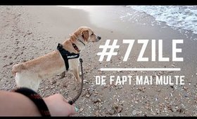 Un fel de #7zile: prima vizita la mare