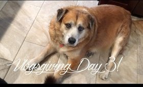 Vlogsgiving 2016 Day 3!