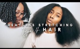 Blowless BLOWOUT | NO HEAT