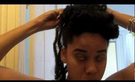 $5 Natural Hair Style How To: Marley Braid Bun Do