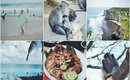 Bali Vlog: Dreamland Beach Bodyboarding & Crazy Uluwatu Monkeys