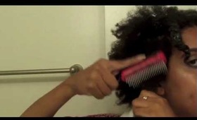Shea Moisture Curl & Shine Kit Style & Review on 4C Hair