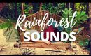 RAINFOREST SOUNDS | [Rainforest Jungle sounds for sleeping] 🎧 🌿