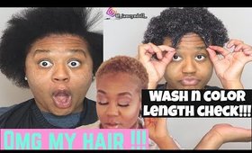 Silk Press and Color on Short Natural Hair! Hair Growth Series! Cyn Doll