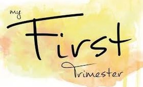 First Pregnancy Trimester Recap