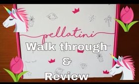 INSTAGRAM MADE ME BUY IT?! | Pellatini Planner Walk through and Review
