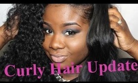 Curly hair Update! *Flat Iron Test* ♥