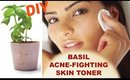 Natural Acne Remedy - DIY Basil Skin Toner - Ms Toi