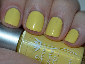 Used Product:
Essence: My Yellow Fellow (limited)