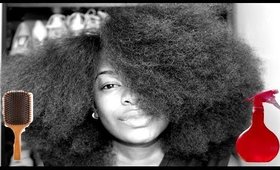 NATURAL HAIR | How I Detangle My Wash N GO