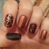 Leopard (: