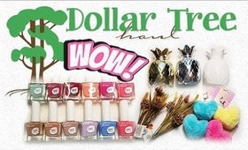 Dollar Tree Haul #25 | New Finds & Info On Back To School Giveaway !  | PrettyThingsRo