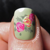 Roses on my thumb