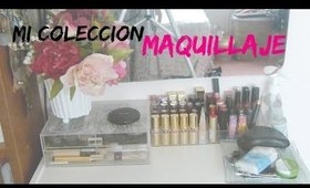 Mi colección de Maquillaje, Organización