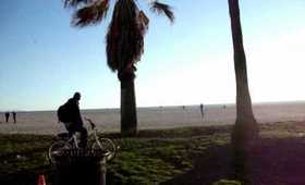 Venice Beach highlights
