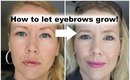 How to let eyebrows grow back!
