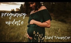 33 week pregnancy update 2019 | third trimester update | bumpdate
