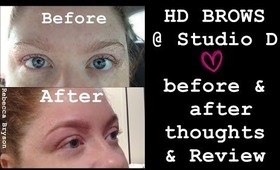 HD brows @ Studio D review I Bexberrymua