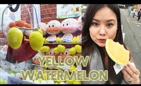 Japan Vlog 6 | Follow My Weekend: Yellow Watermelon, Kumamoto & Kagoshima ♡ 2017