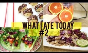 WHAT I ATE IN A DAY | EP #2