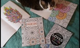 My Coloring Book Obsession 2-14-16