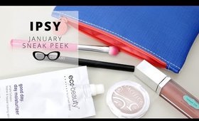 IPSY | JANUARY SNEAK PEEK